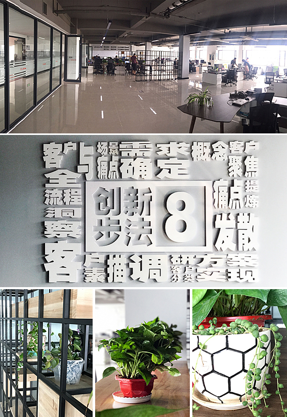 2025新澳门原料免费更新