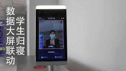 2025新澳门原料免费更新