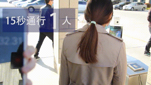 2025新澳门原料免费更新