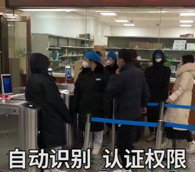 2025新澳门原料免费更新
