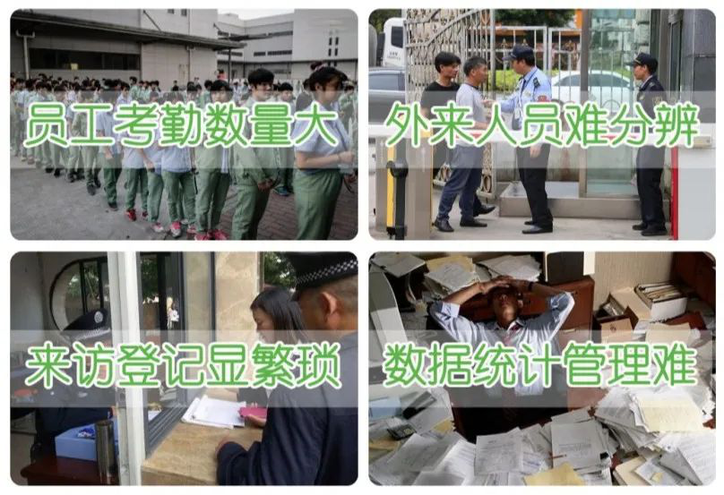 2025新澳门原料免费更新