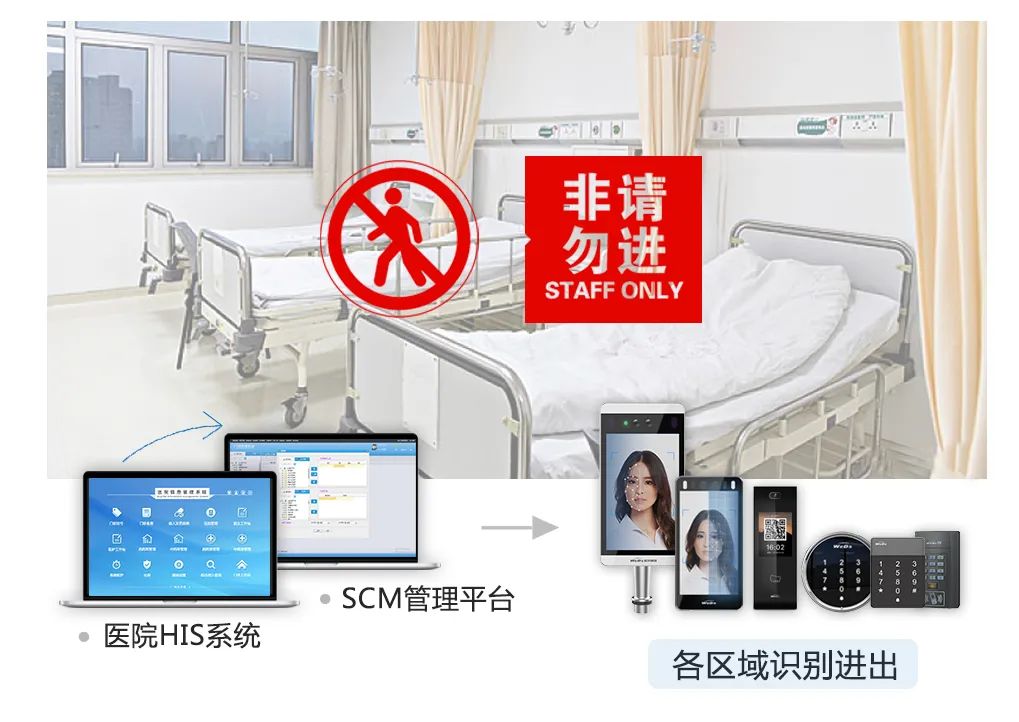 2025新澳门原料免费更新