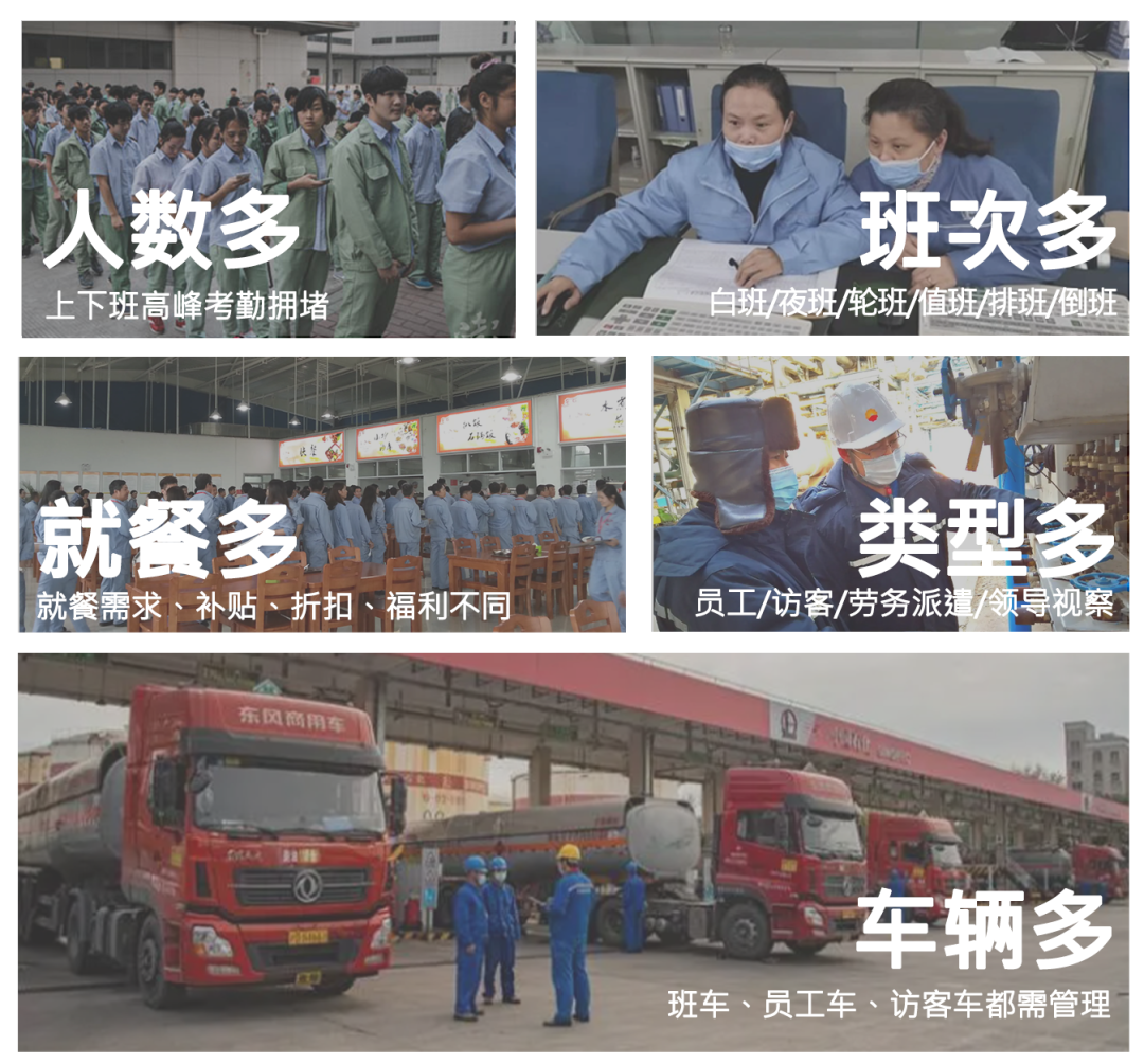 2025新澳门原料免费更新