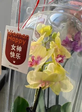 2025新澳门原料免费更新
